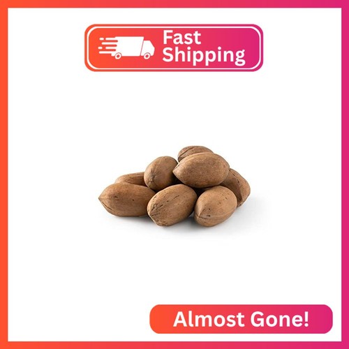 Nuts pecans in shell - in, |